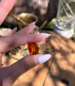 Baltic Amber - Image 2